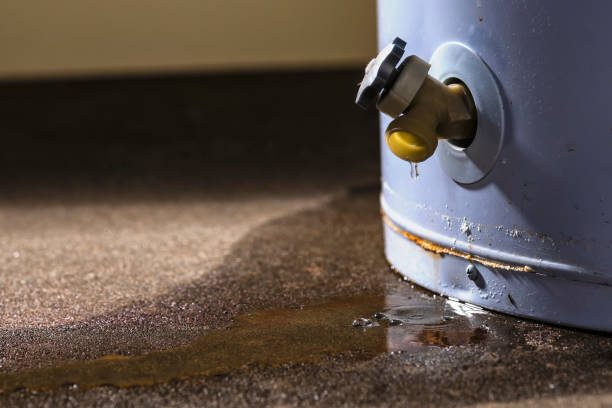  Gibsonia, PA Water damage restoration Pros