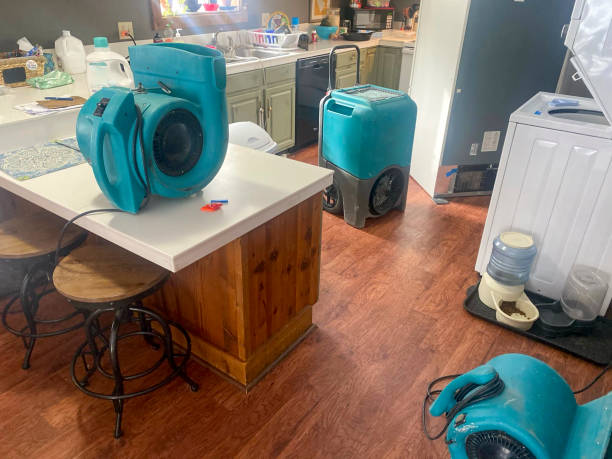 Best Flooded house restoration  in Gibsonia, PA