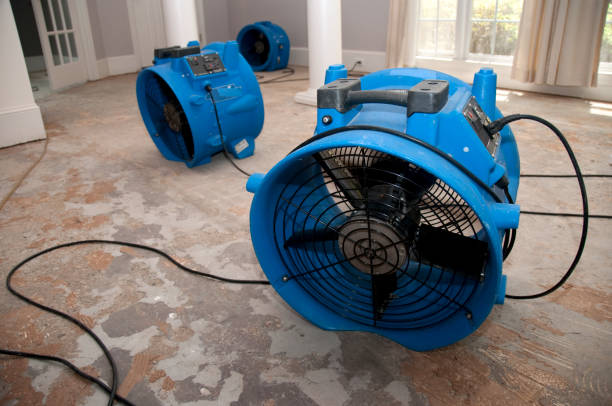 Best Residential water damage restoration  in Gibsonia, PA