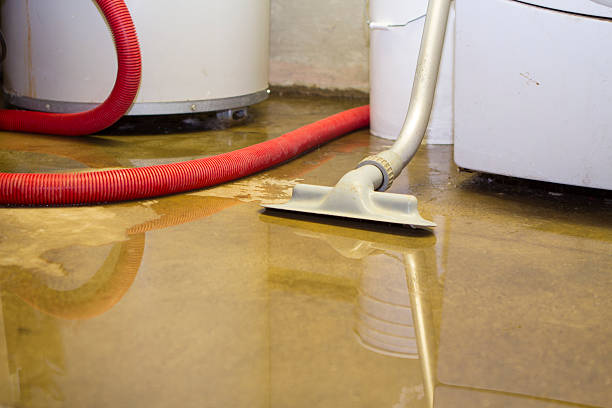 Best Sewage cleanup and water damage restoration  in Gibsonia, PA