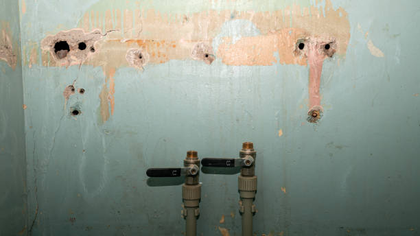 Best Flood damage cleanup  in Gibsonia, PA