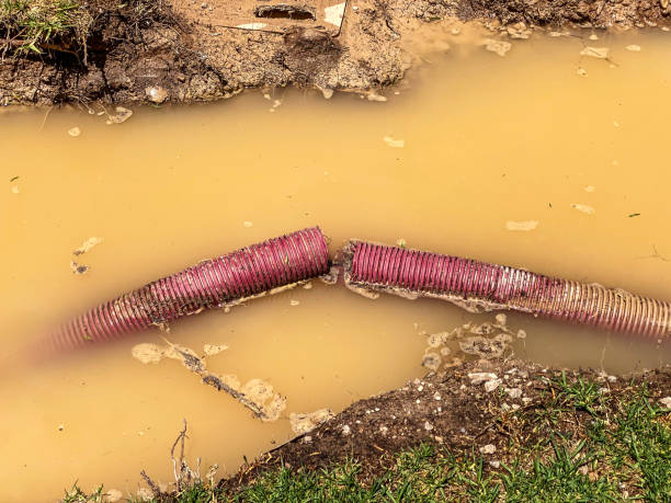 Best Water damage contractors near me  in Gibsonia, PA