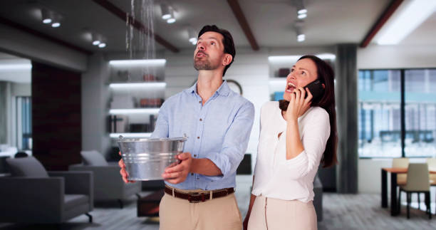 Best Local water damage restoration  in Gibsonia, PA