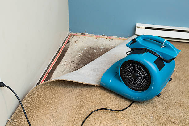 Best Flood restoration services  in Gibsonia, PA
